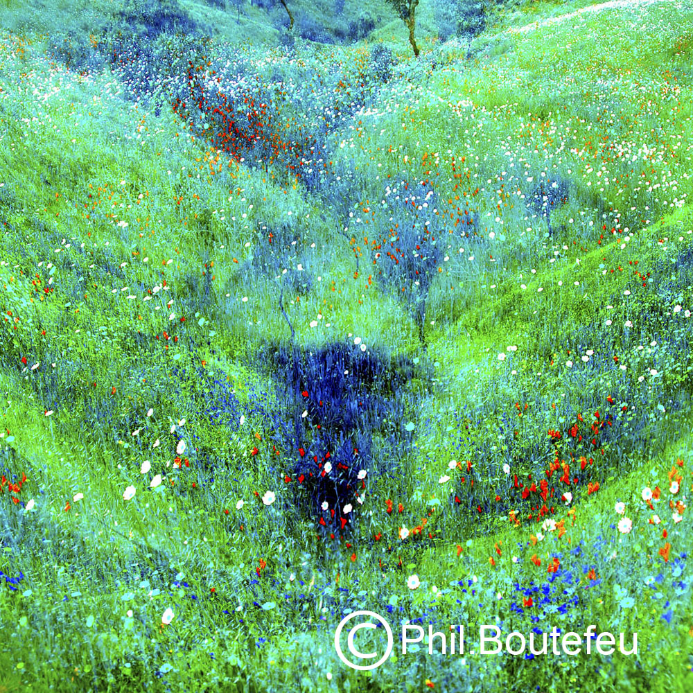 Origine · Phil Boutefeu